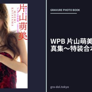 WPB 片山萌美デジタル写真集〜特装合本版〜
