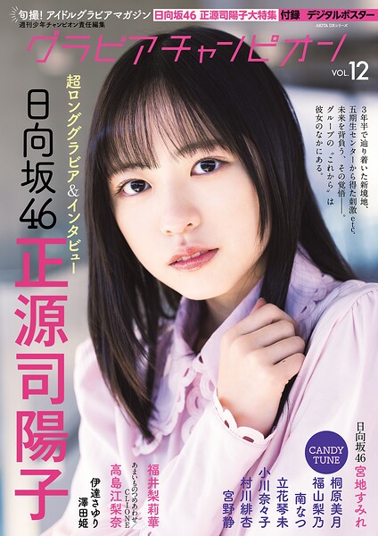 グラビアチャンピオン VOL.12